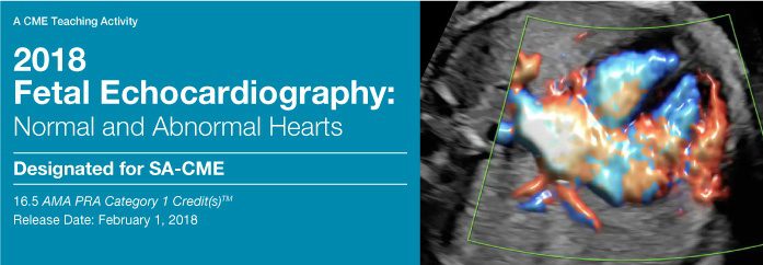 2018 Fetal Echocardiography: Normal and Abnormal Hearts (Videos)
