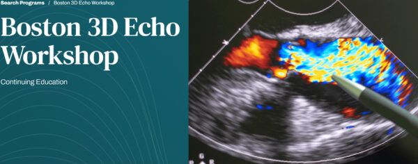 Harvard Boston 3D Echo Workshop 2025