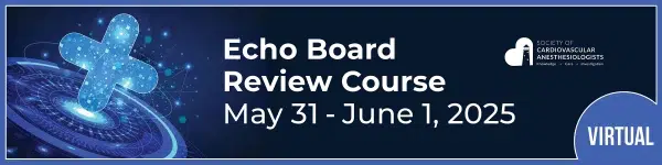 SCA Echo Board Review Course 2025 (Videos with subtitles + Slides)